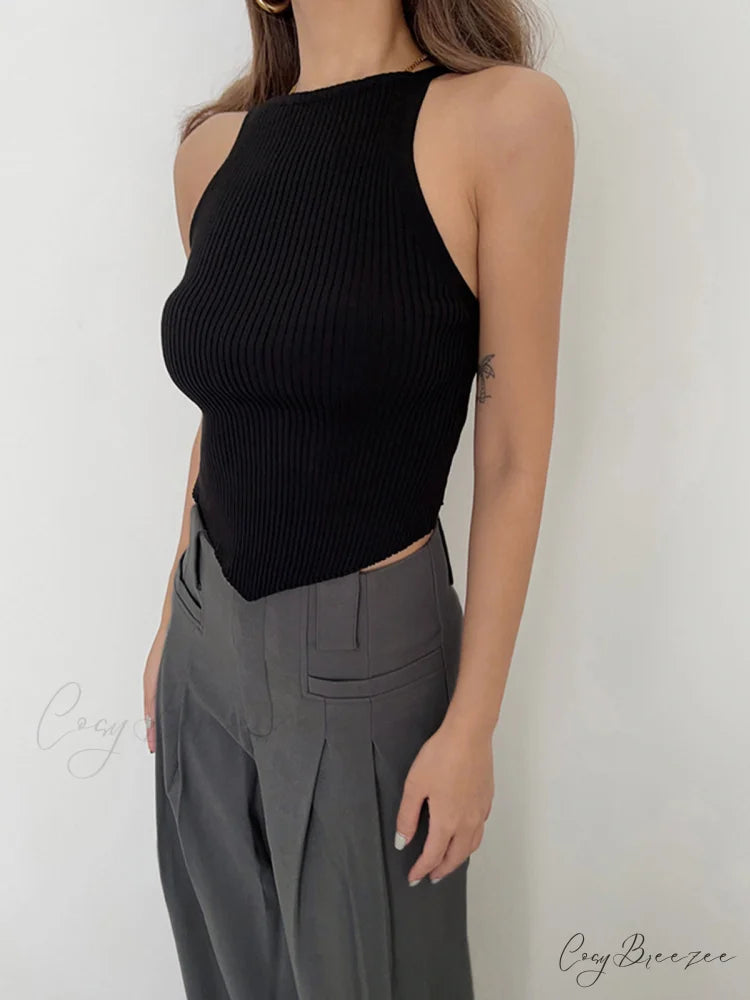 Basic Ribbed Graceful Sweater Vest