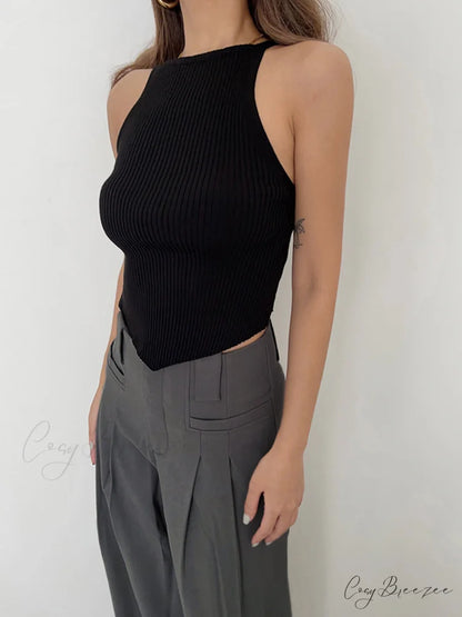 Basic Ribbed Graceful Sweater Vest