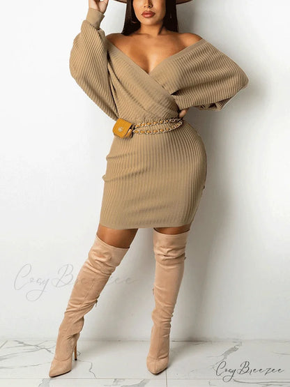 Batwing Sleeve Graceful Knit Turtleneck Sweaters Apricot / S