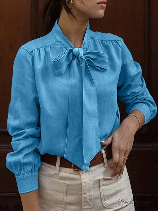 Bowtie Collar Pleated Relaxed Chic Blouse Blue / S blouse-250126