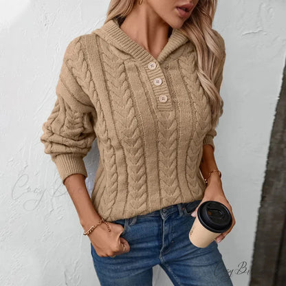 Button Retro Cardigan Sweater swraters-241228