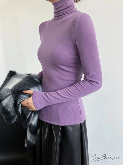 Casual Ribbed Graceful Turtleneck Shirt