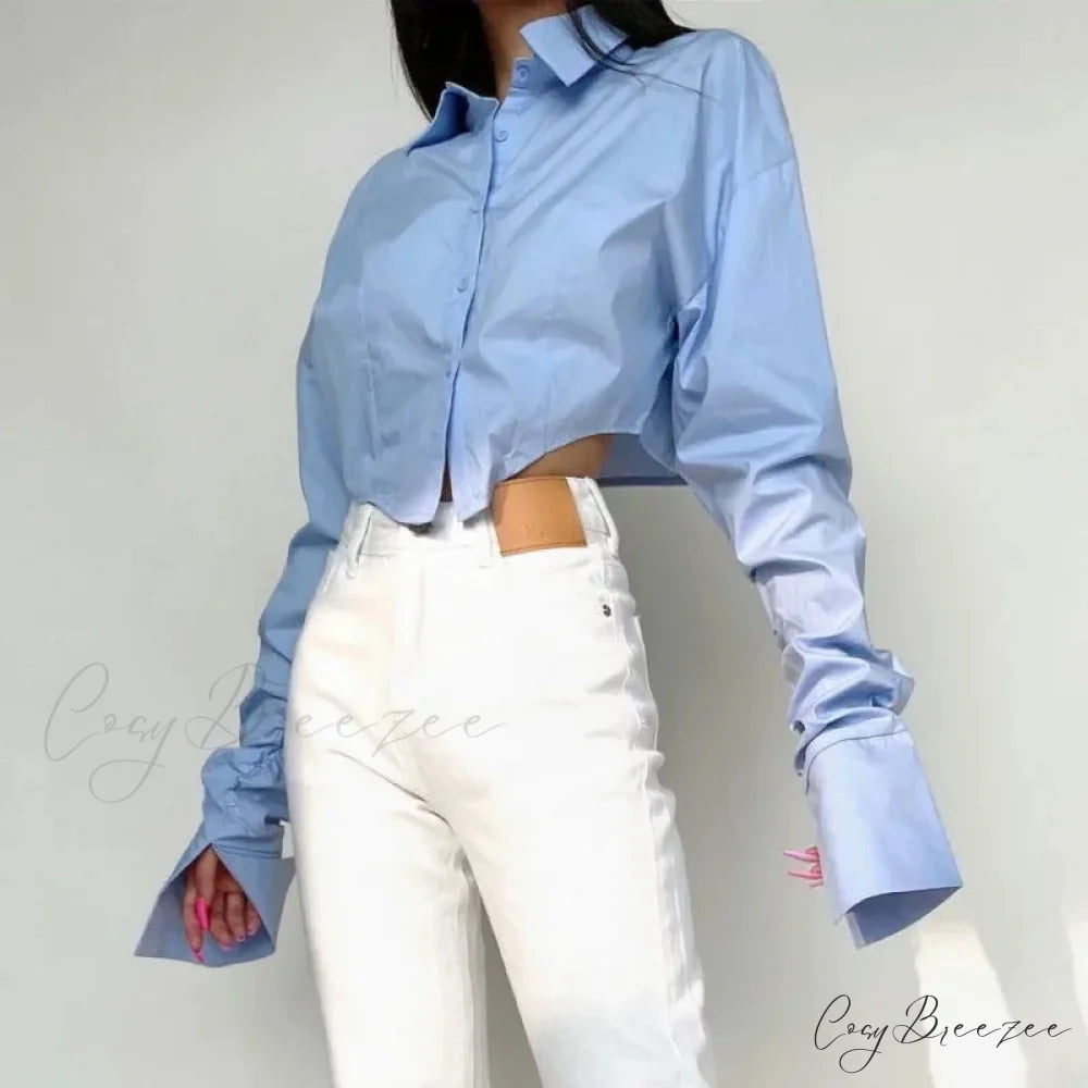 Casual Single Breasted Turn Down Collar Short Sleeve Crop Top blouse-250126