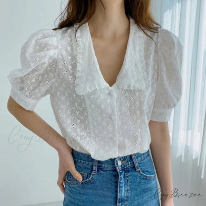 Chic Hollow Lace Puff Sleeve Peter Pan Collar Crop Top blouse-250126