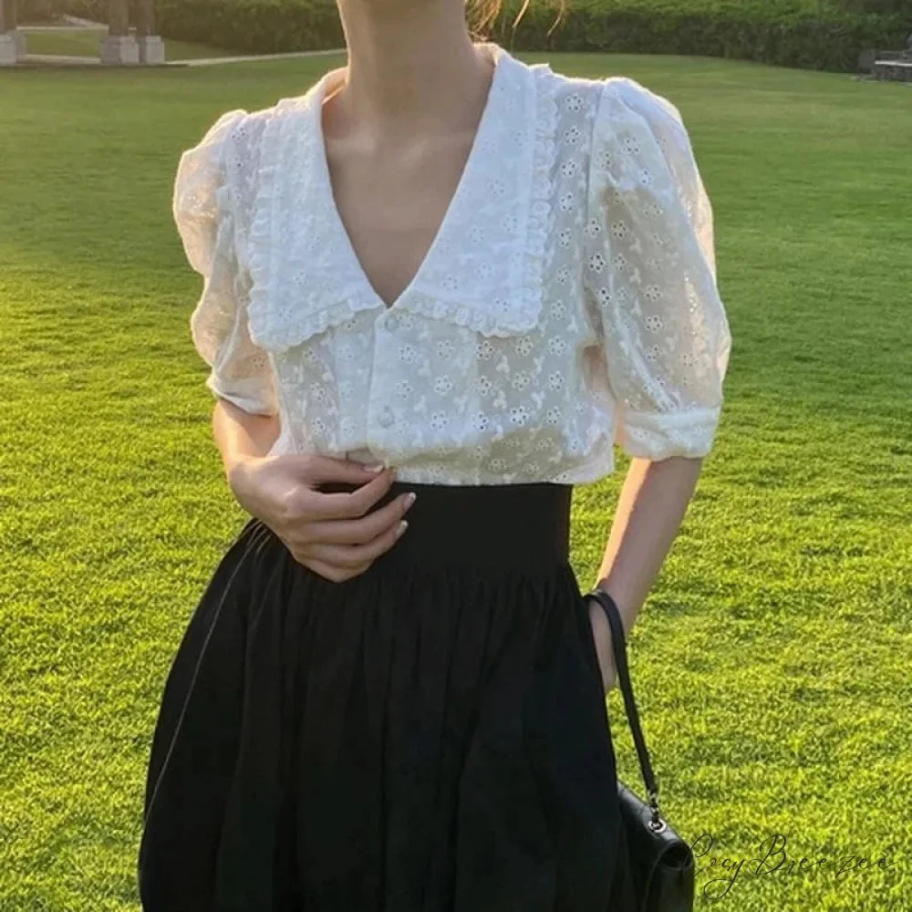 Chic Hollow Lace Puff Sleeve Peter Pan Collar Crop Top WHITE / S blouse-250126