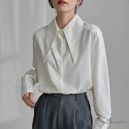 Classic Satin Silk Turn Down Collar Blouse blouse-250223