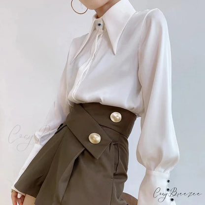 Classic Satin Silk Turn Down Collar Blouse blouse-250223