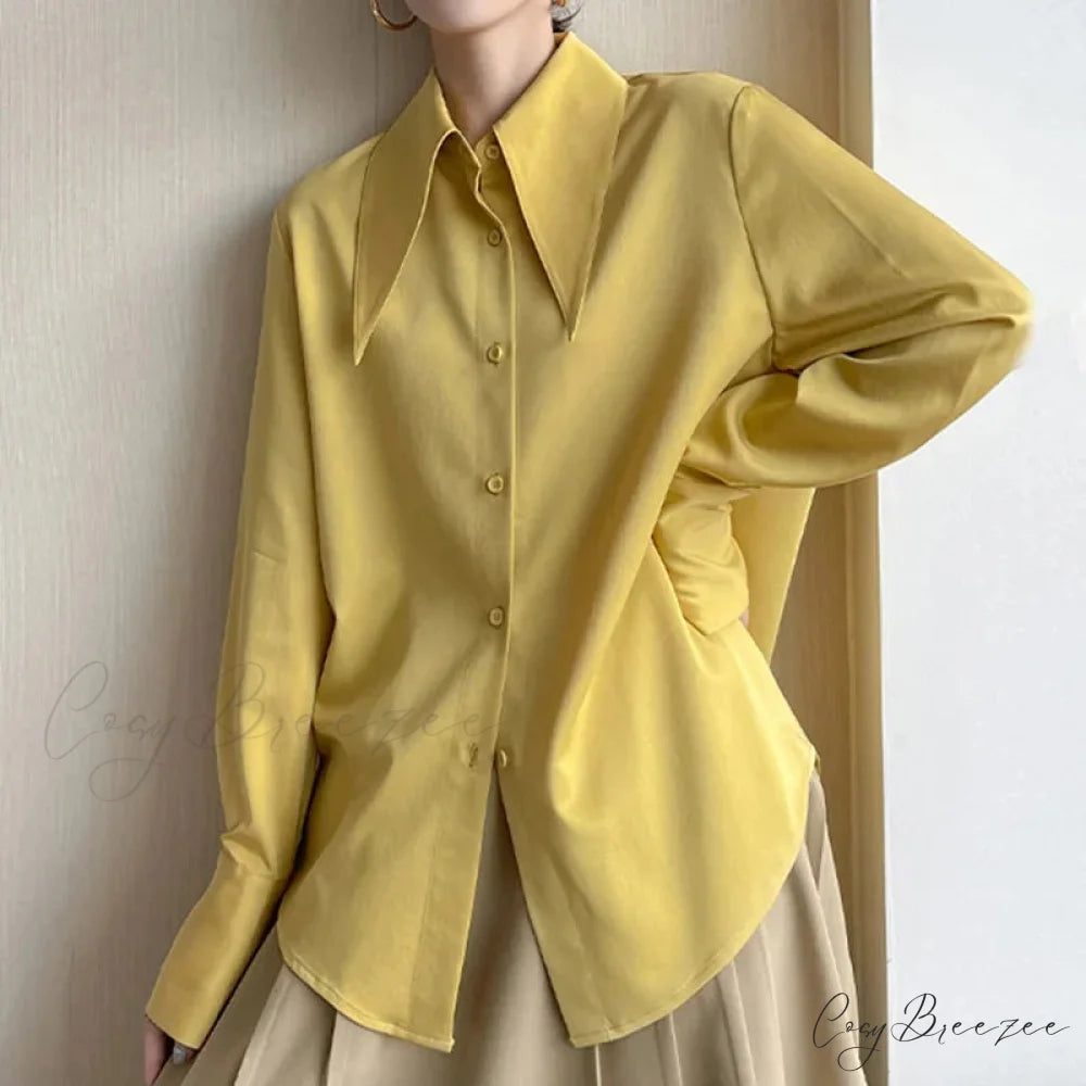 Classic Satin Silk Turn Down Collar Blouse blouse-250223