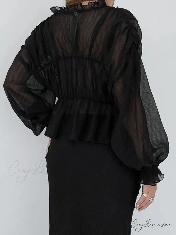 Classic Sheer Mesh Lantern Sleeve Blouse blouse-250223