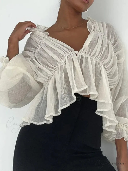Classic Sheer Mesh Lantern Sleeve Blouse blouse-250223