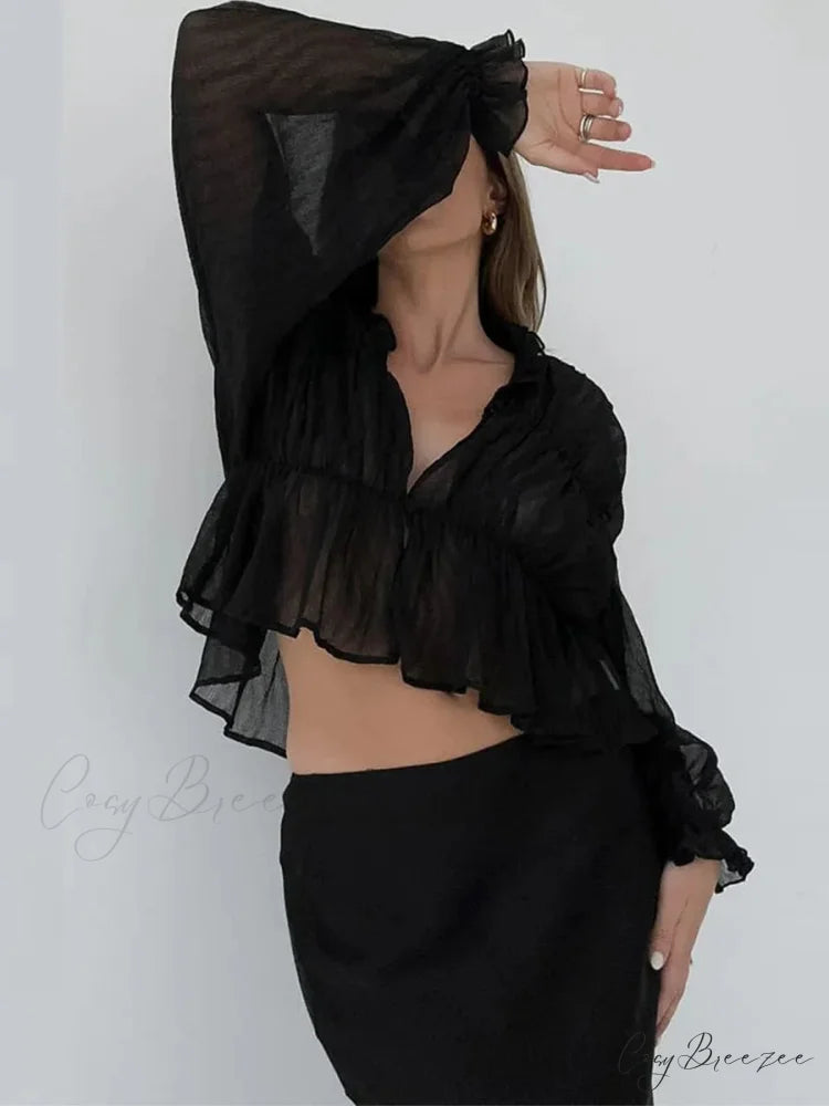Classic Sheer Mesh Lantern Sleeve Blouse blouse-250223