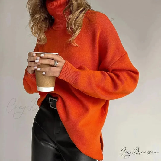 Colorblock Turtleneck Heavy Sweater swraters-241228