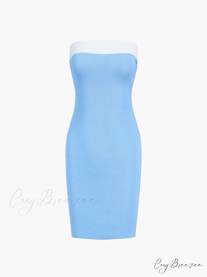 Contrast Trim Graceful Bodycon Short Dress Blue / XS