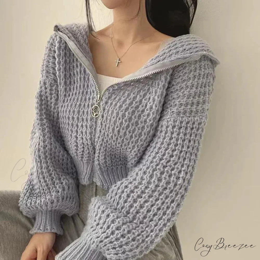 Cropped Hooded Hollow Out Knit Cardigan blue-gray / S cardiagn-250126
