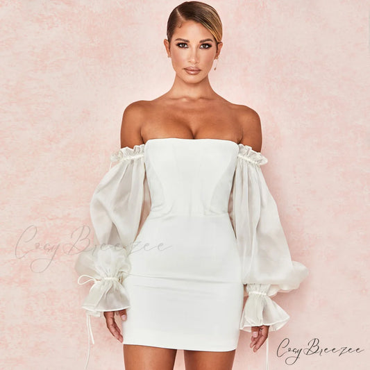 Cute Off Shoulder Puff Sleeve Classic Bodycon Party Mini Dress - Black S / White