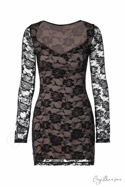 Cutout Lace Long Sleeve Mini Dress