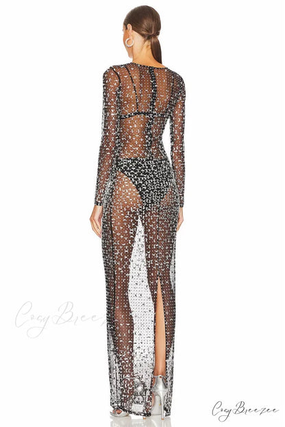 Dazzled Up Crystal Trendy Embellished Sheer Maxi Dress