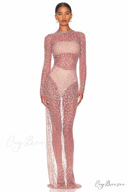 Dazzled Up Crystal Trendy Embellished Sheer Maxi Dress Pink / XS