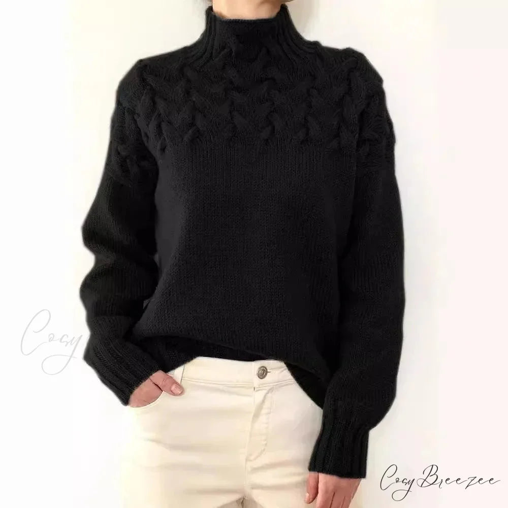 Electric Cable Woven Turtleneck Solid Color Sweater Black / S swraters-241228