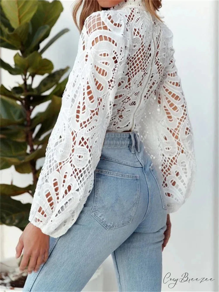 Elegant Lace Puff Sleeve Slim Fit Crop Top blouse-250126