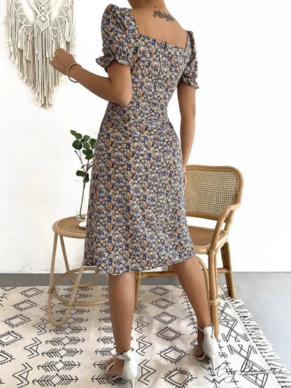 Elegant Pleated A-line Floral Print Casual Dress oldfloraldress-250126