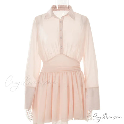 Fashion Single Breasted Pleated Sheer Mini Dress Pink / S