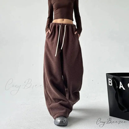 Fleece Thick Wool Wide Leg Pants Coffee / S pants-241228