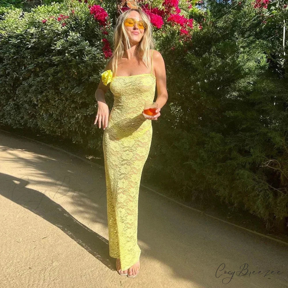 Floral Sheer Lace Maxi Dress