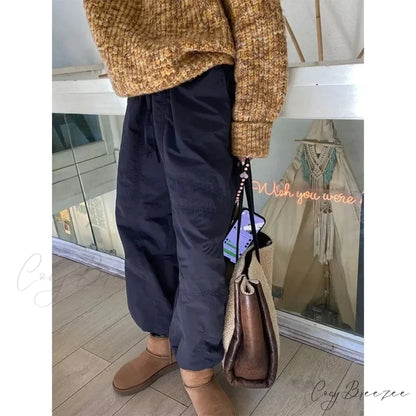 Gray Brushed Winter Korean Fashion Pants Blue / S pants-241228