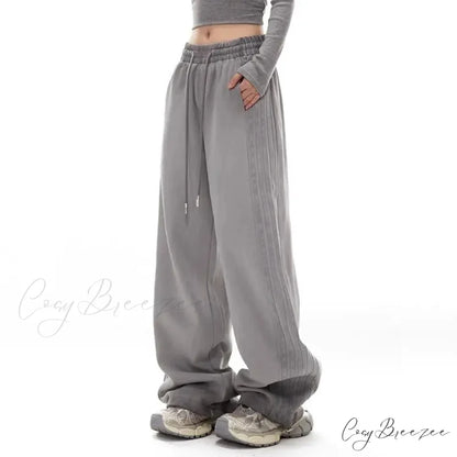 Gray Stripe Motion Relaxed Pants GRAY / S pants-241228