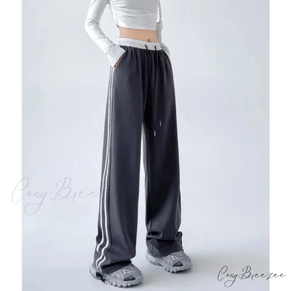 Gray Striped Casual Sweatpants Pants Deep gray / S pants-241228
