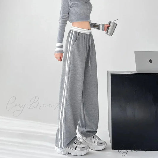 Gray Striped Casual Sweatpants Pants Gray / S pants-241228
