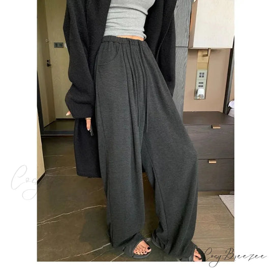 Grey Oversized Baggy Pants black / S pants-241228