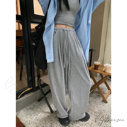 Grey Oversized Baggy Pants grey / S pants-241228