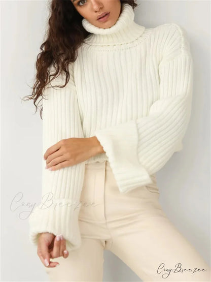 High Neck Ribbed Cropped Sweater Beige / S swraters-241228