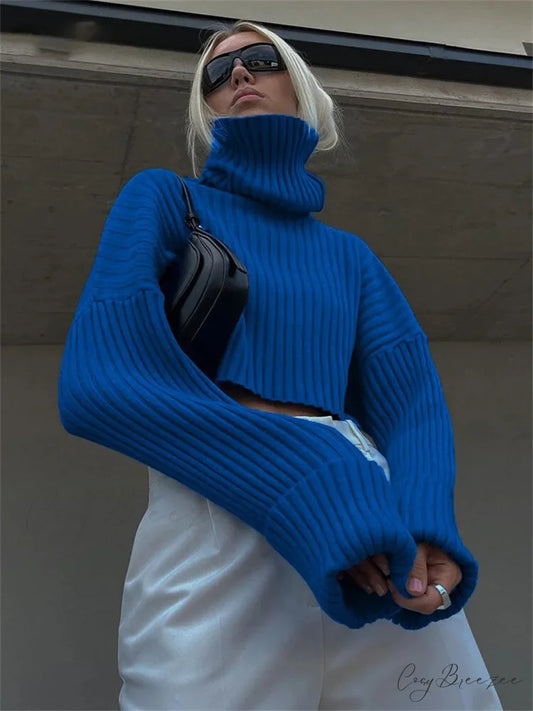 High Neck Ribbed Cropped Sweater Blue / S swraters-241228