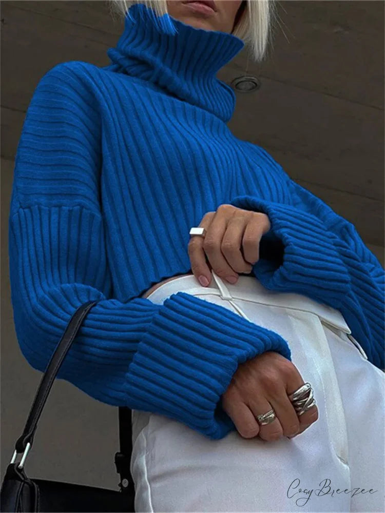 High Neck Ribbed Cropped Sweater swraters-241228
