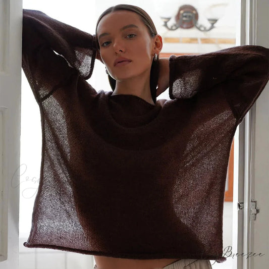 Hollow See-through O-neck Long Sleeve Sweater swraters-241228