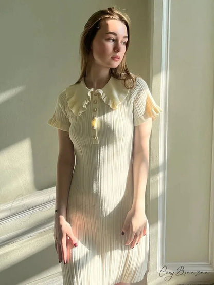 Knit Retro Single-Breasted Mini Dress minidress-250223