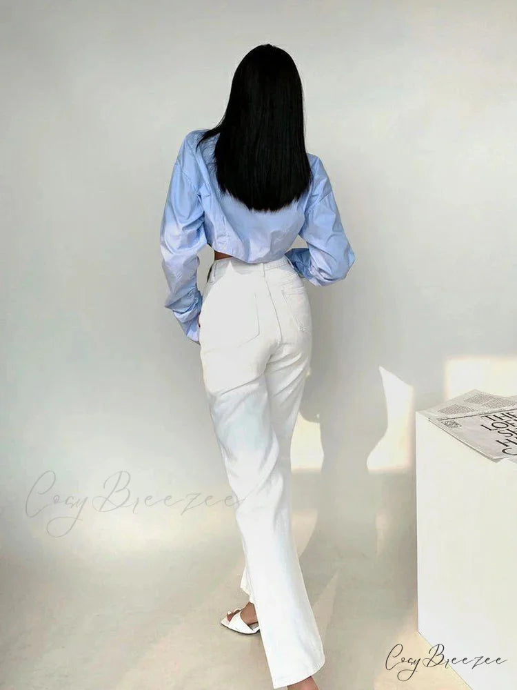 Korean Style Long Sleeve Button Crop Top blouse-250126