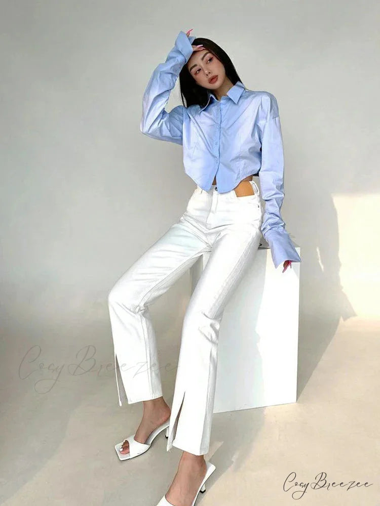 Korean Style Long Sleeve Button Crop Top blouse-250126