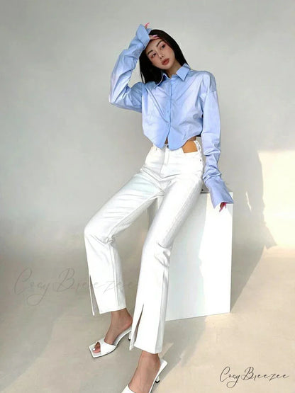 Korean Style Long Sleeve Button Crop Top blouse-250126