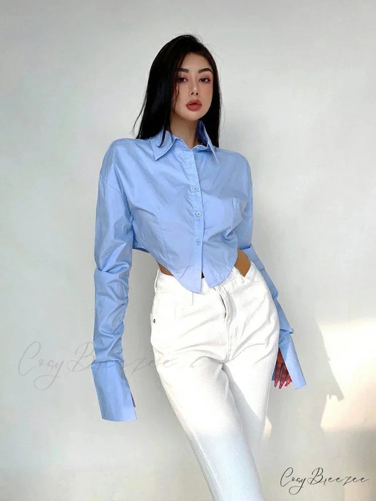 Korean Style Long Sleeve Button Crop Top blouse-250126
