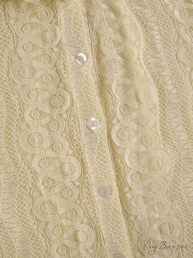 Lace Charming V-Neck Blouse