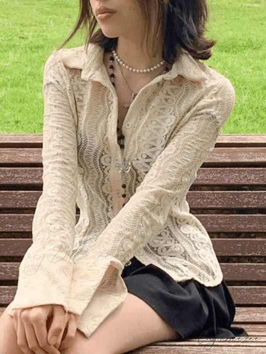 Lace Charming V-Neck Blouse Beige / S
