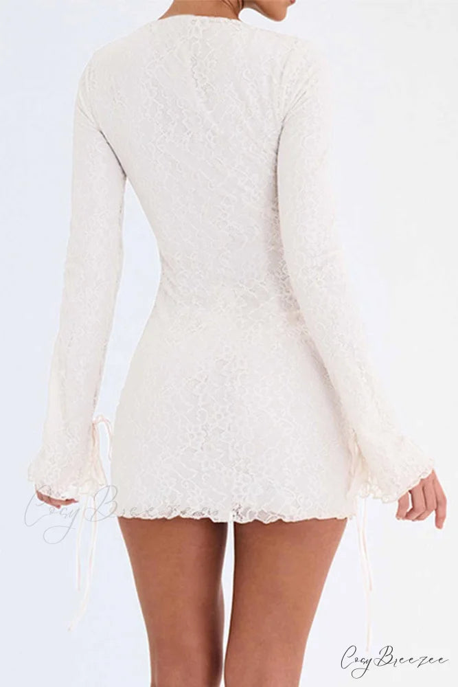 Lace Crew Neck Mini Dress