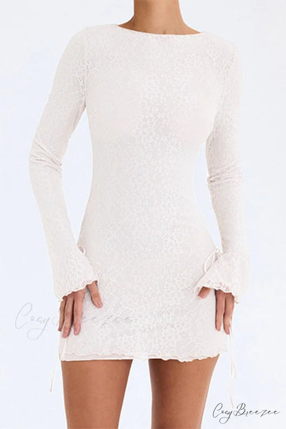Lace Crew Neck Mini Dress