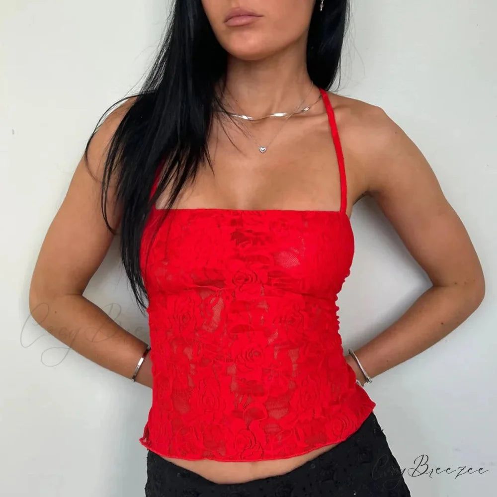 Lace Cross Back Sheer Crop Top croptop-250223