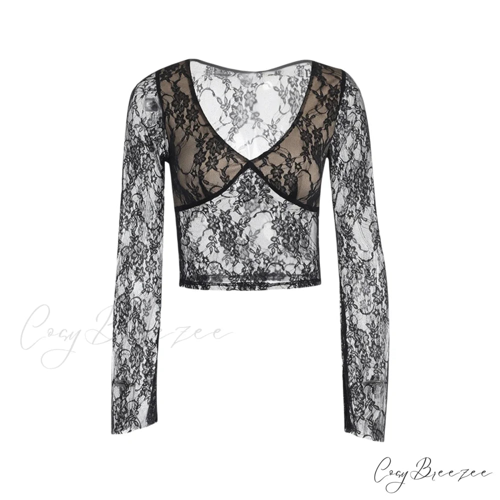 Lace Fairy Grunge V-neck See-Through Slim Fit Stylish Elegant Trendy Classic Crop Top Black / S