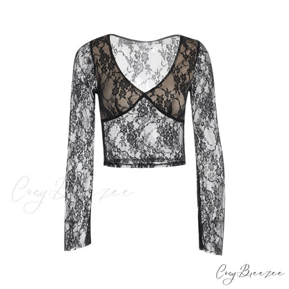Lace Fairy Grunge V-neck See-Through Slim Fit Stylish Elegant Trendy Classic Crop Top Black / S